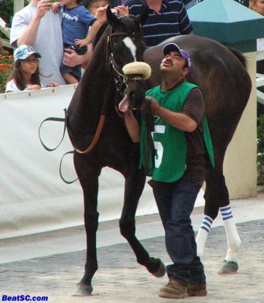 Is Zenyatta’s groom praying, or did she just kick him in the privates?